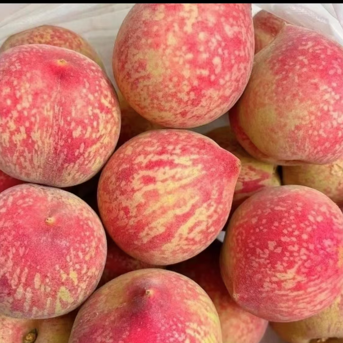 【新疆包邮】湖北血桃 老树血桃 新鲜采摘 当季应季水果（天生个小）