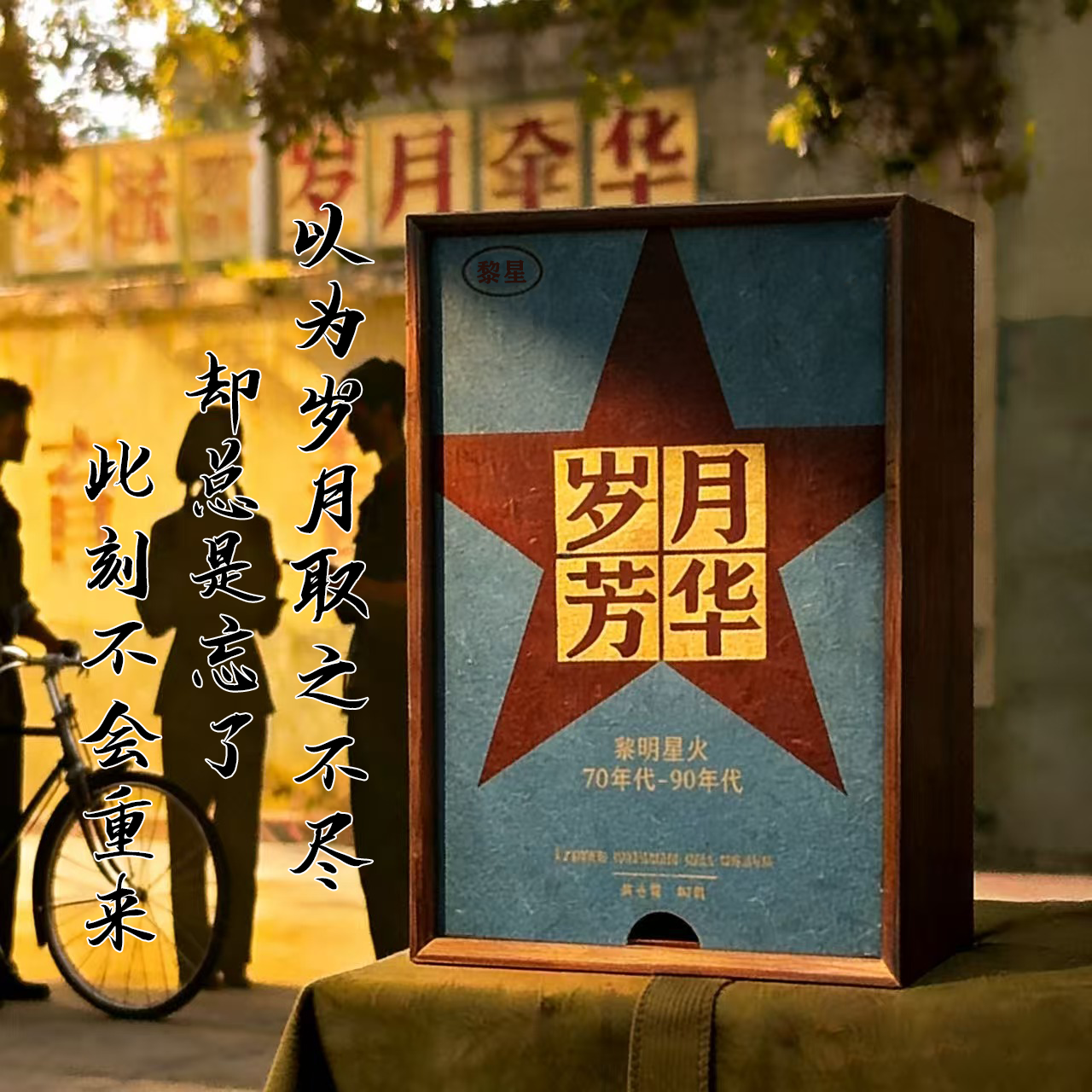 【经典】岁月芳华多年份普洱中老期茶尝遍芳华里的茶中滋味80g/盒
