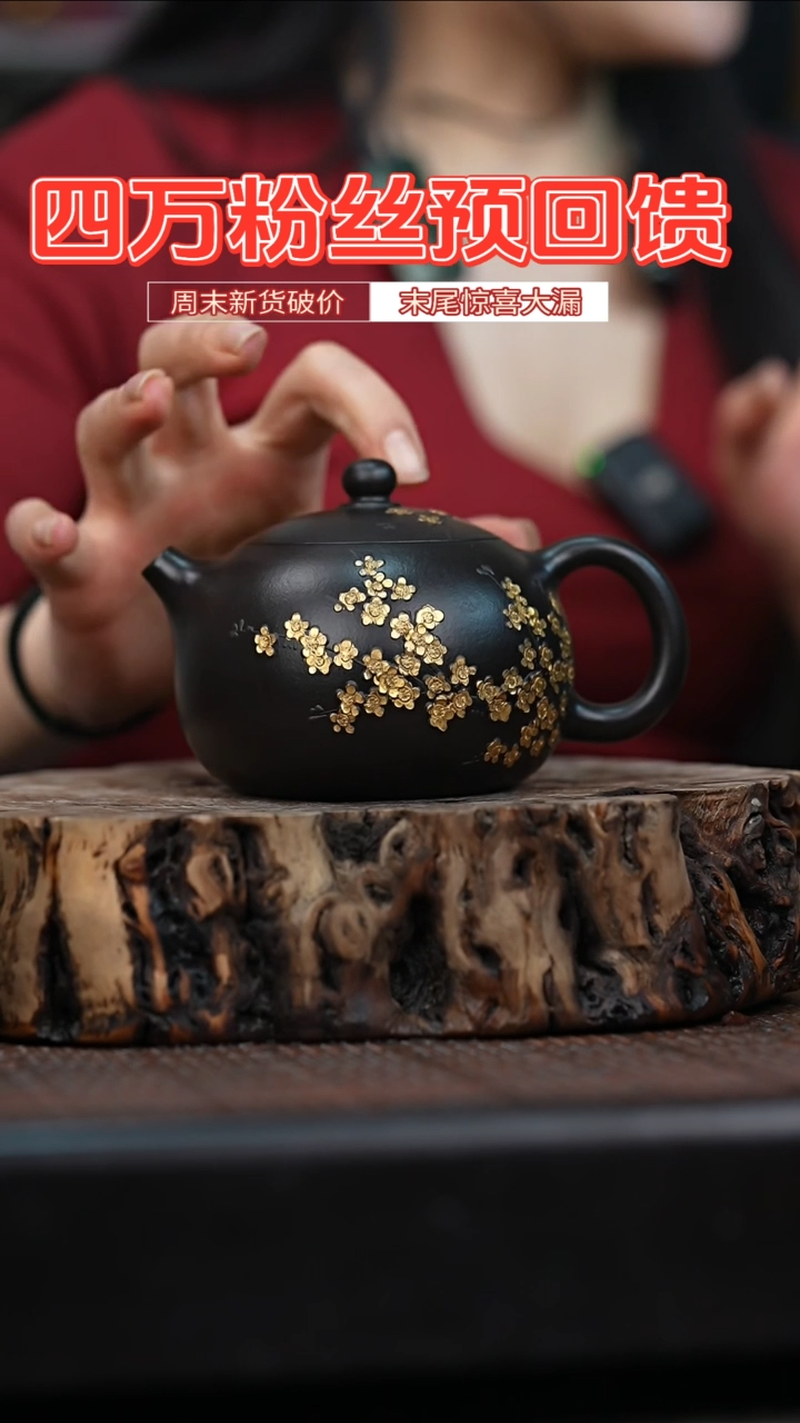 宜兴岁颐传砂原矿全手12