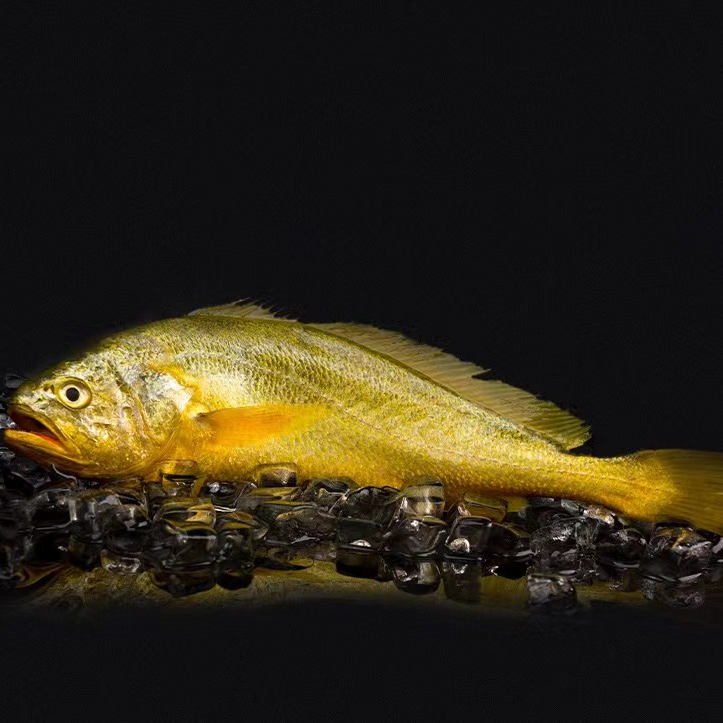 【甜甜专属】生态大黄花鱼