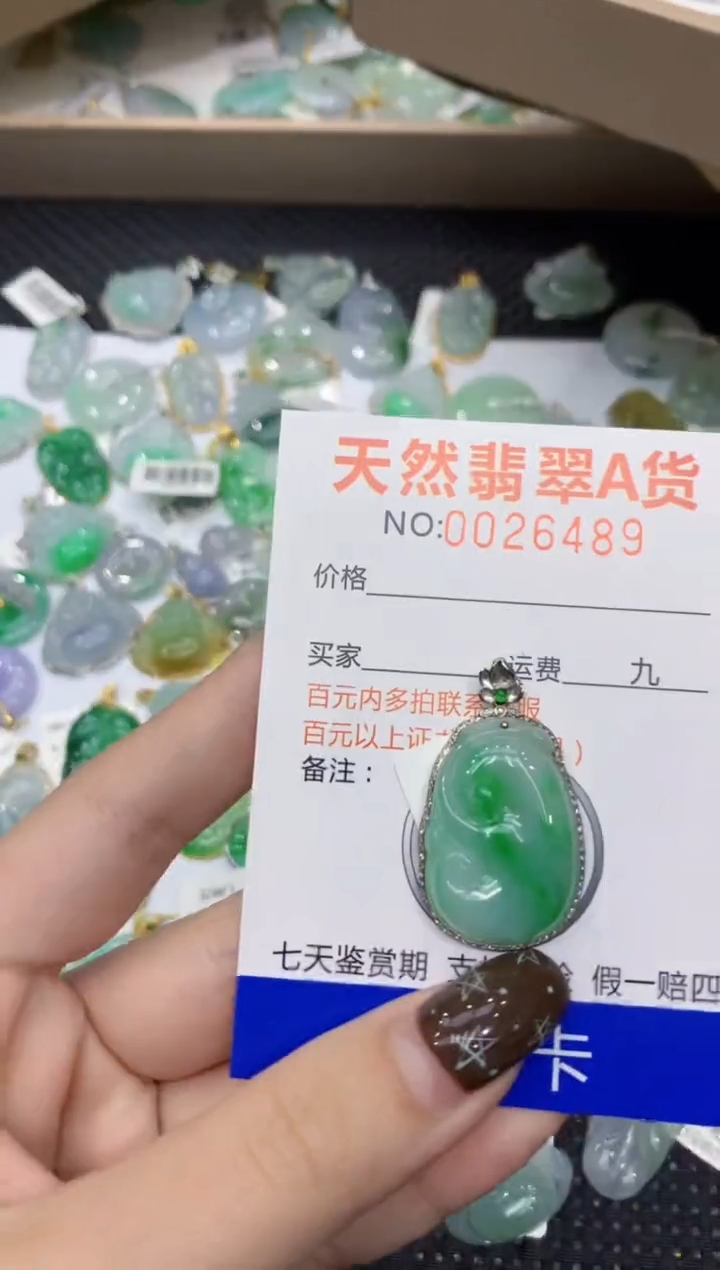 【闪购商品】翡翠颈饰18K金镶嵌1111111111