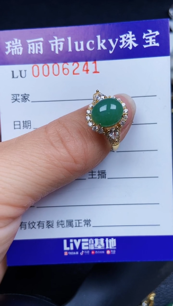 翡翠银S925镶嵌颈饰6241