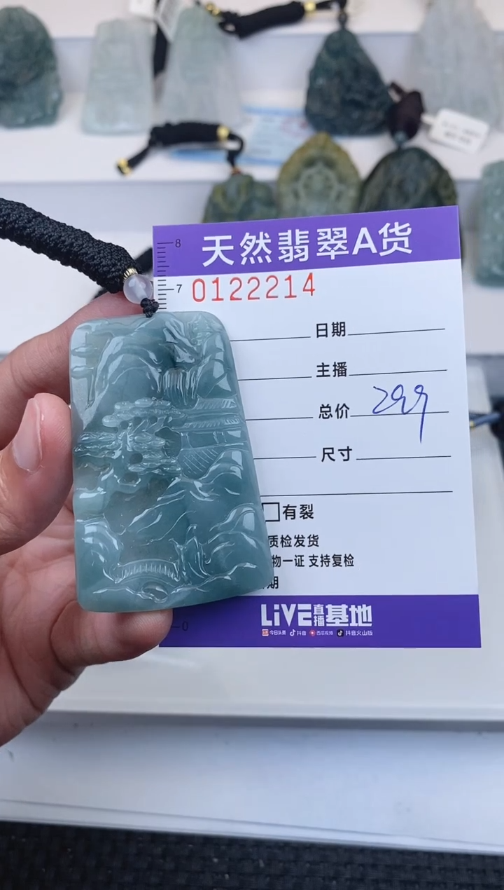 【闪购商品】翡翠颈饰未镶嵌          214