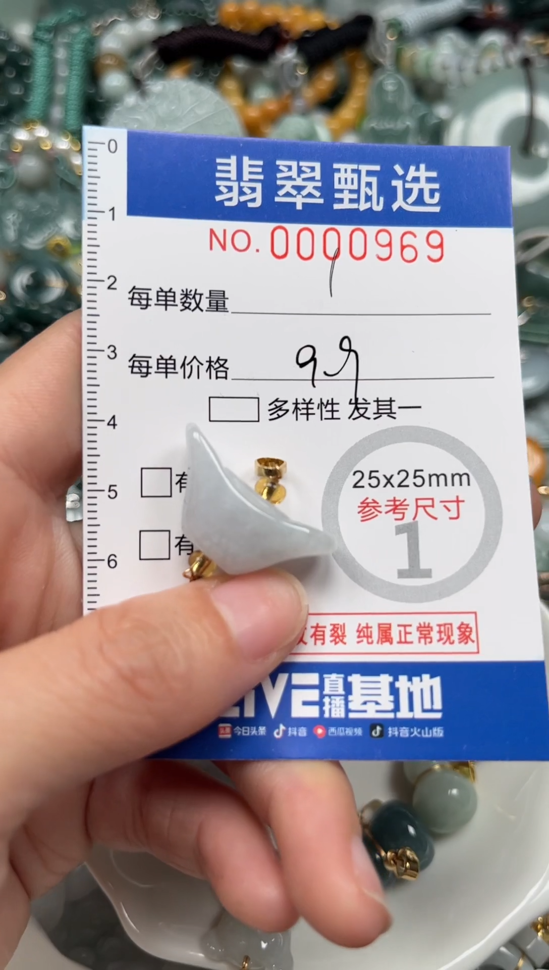 【闪购商品】翡翠颈饰未镶嵌00..0969