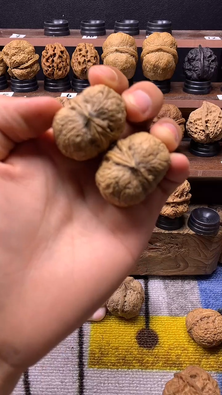 把件猴头核桃?****?蟒皮元宝异型