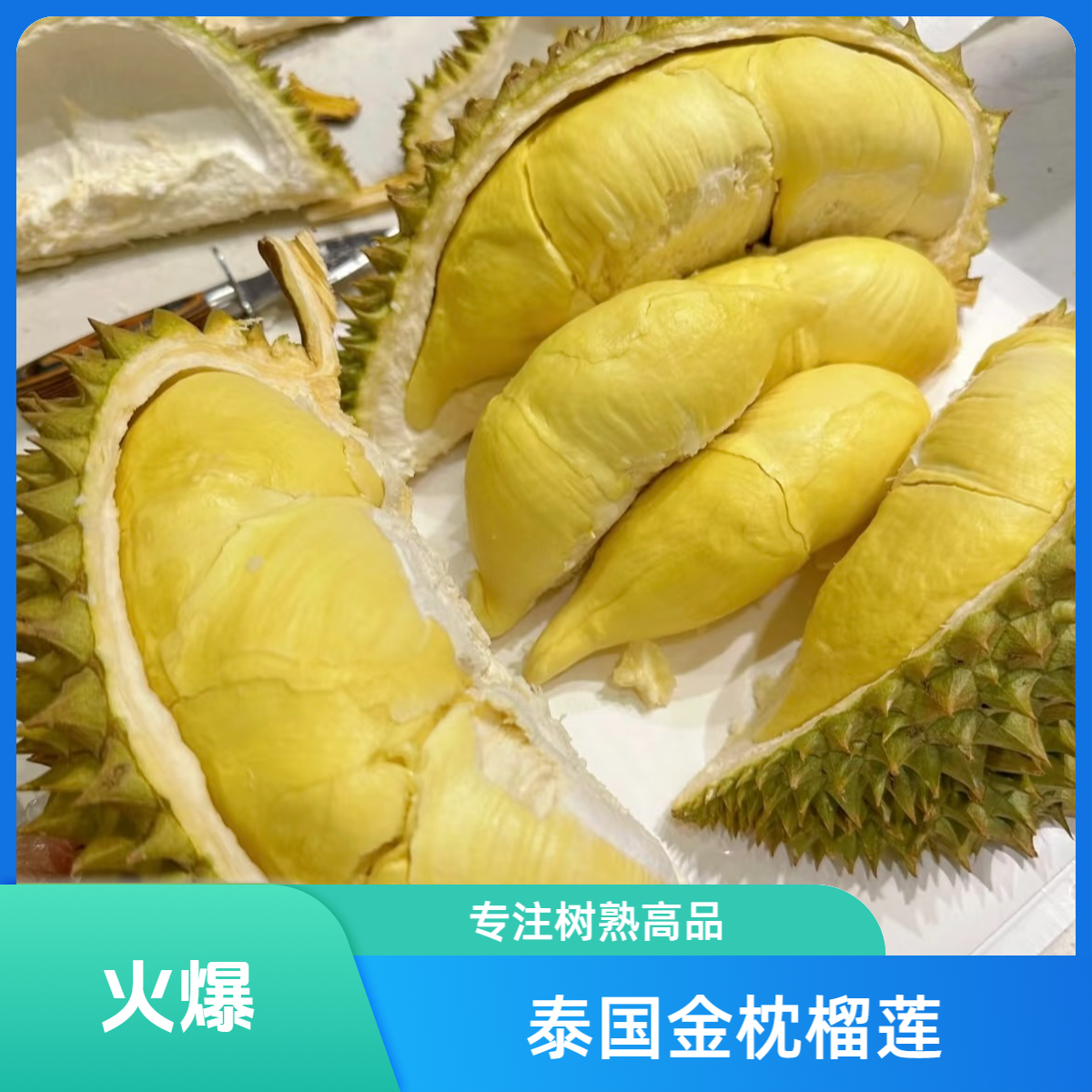 济南同城泰国树熟金枕鲜果鲜榴莲（核小）斤金枕泰国