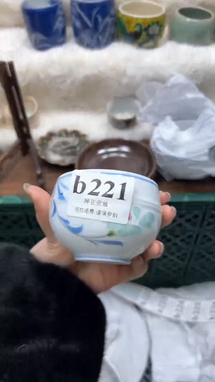 【闪购商品】瓷片          b221