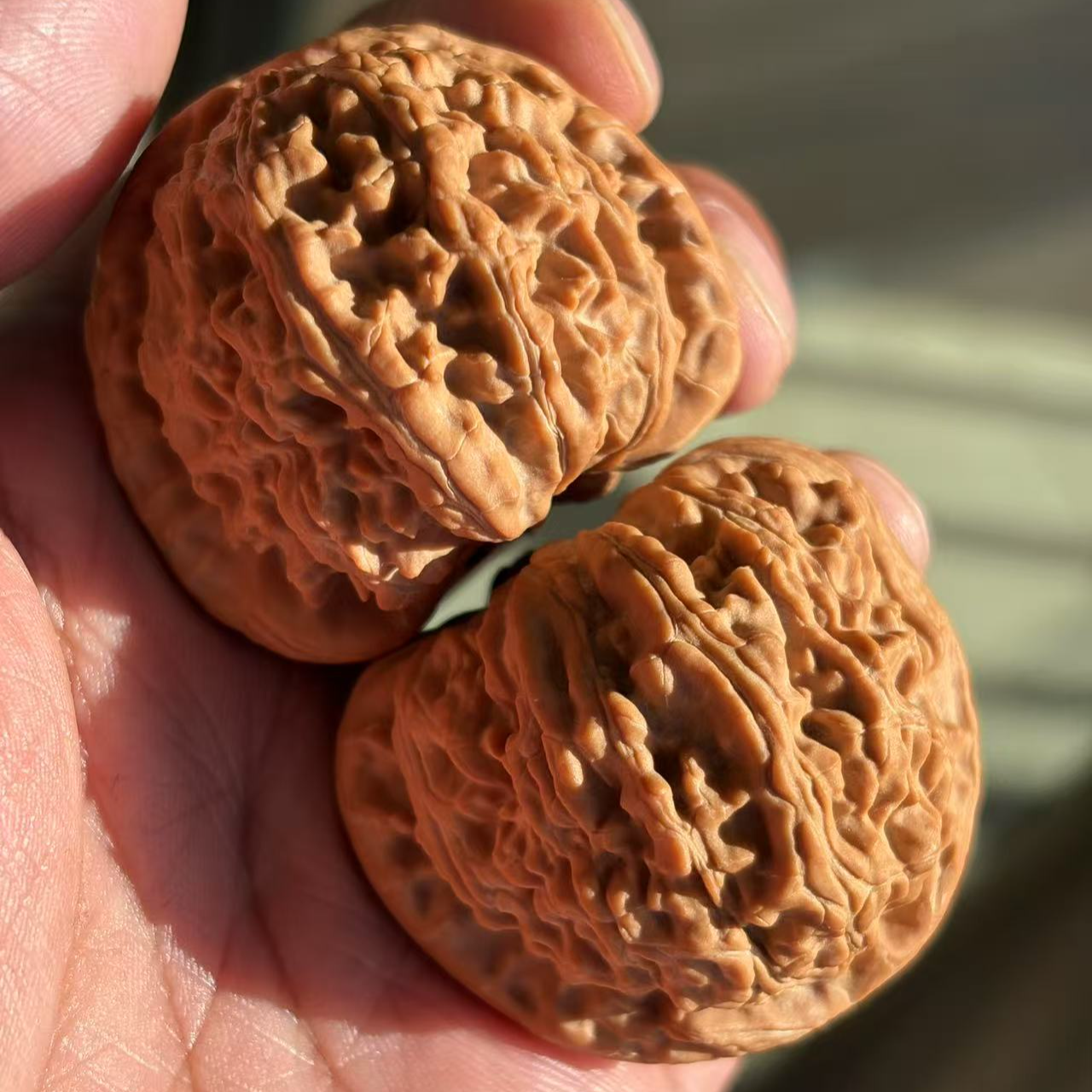 精品球体白狮子头文玩核桃