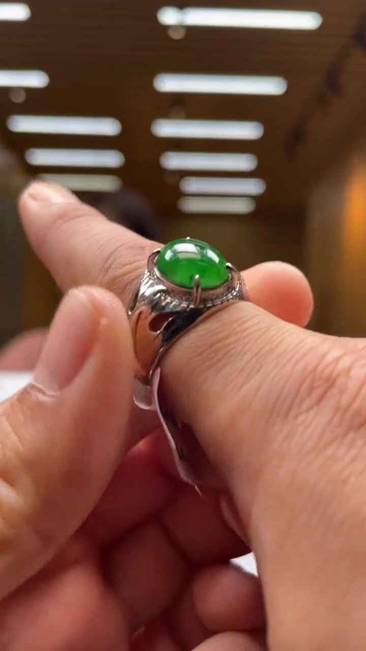 【闪购商品】翡翠颈饰未镶嵌********635