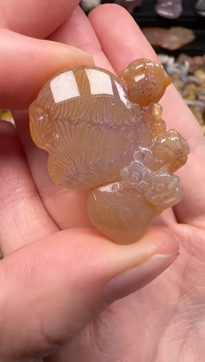 硅化珊瑚（珊瑚玉）未镶嵌颈饰173