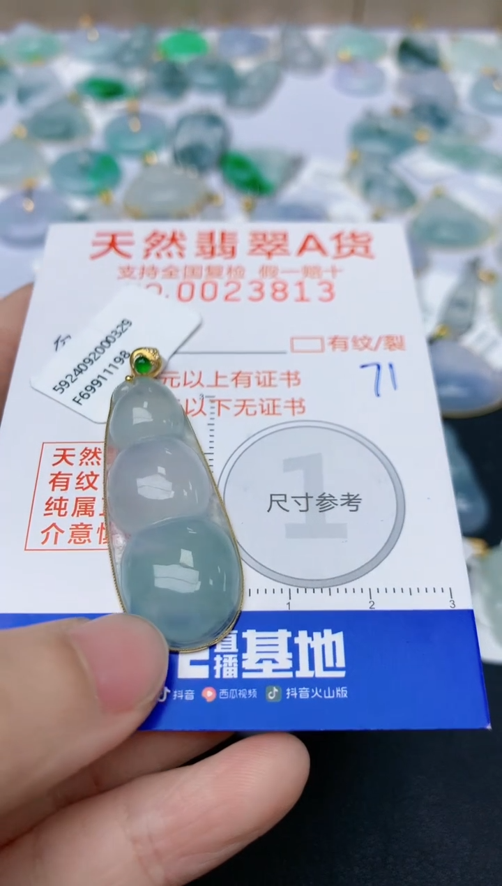 【闪购商品】翡翠颈饰18K金镶嵌天然翡翠A货    71