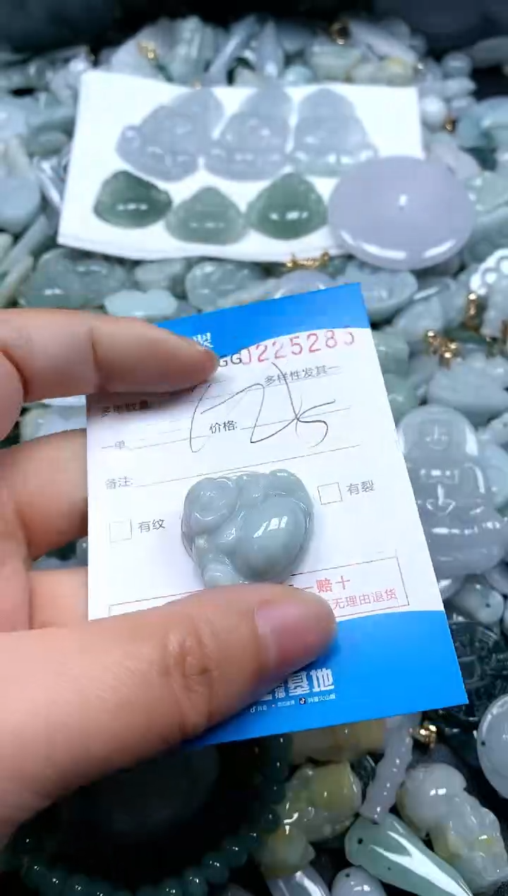 【闪购商品】翡翠颈饰未镶嵌闪购商品0225285