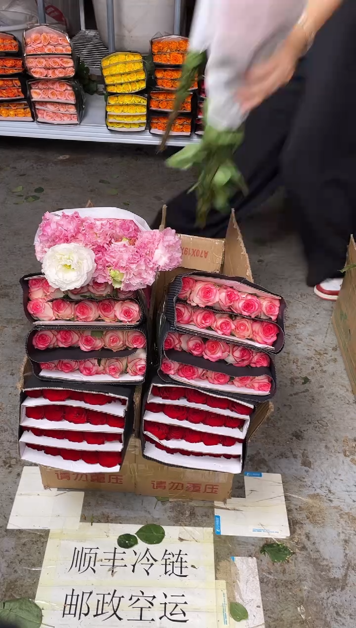 高原红20枝+艾沙20枝+阳光粉400克+小雏菊10枝（任意色）+红康20枝