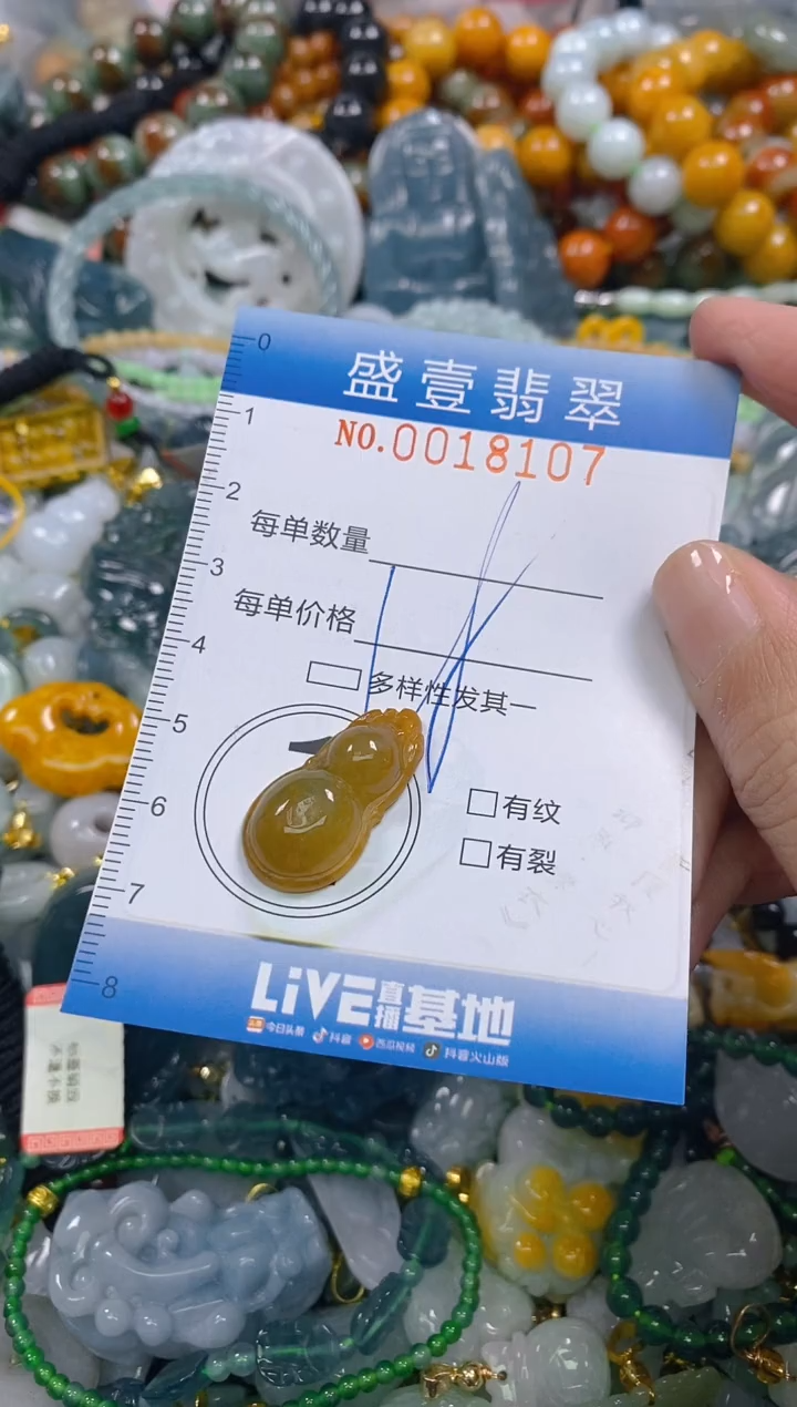 颈饰未镶嵌翡翠闪购0018107