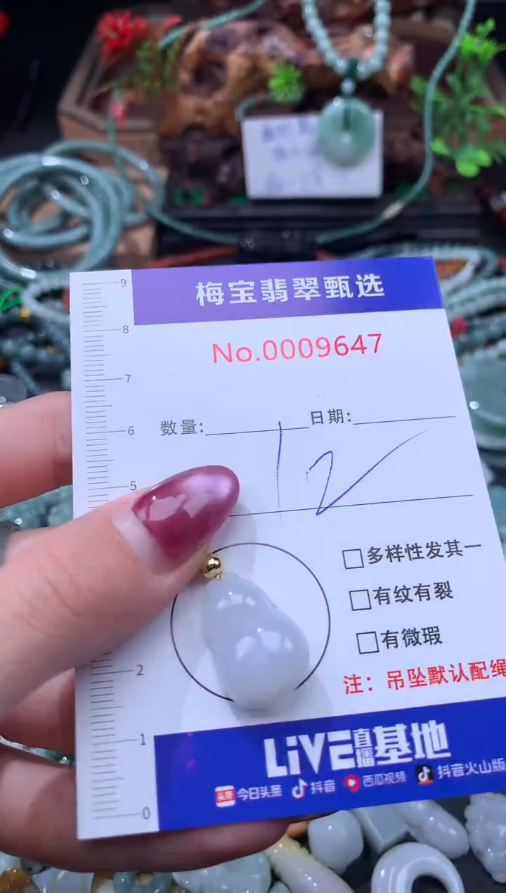 颈饰未镶嵌翡翠早12