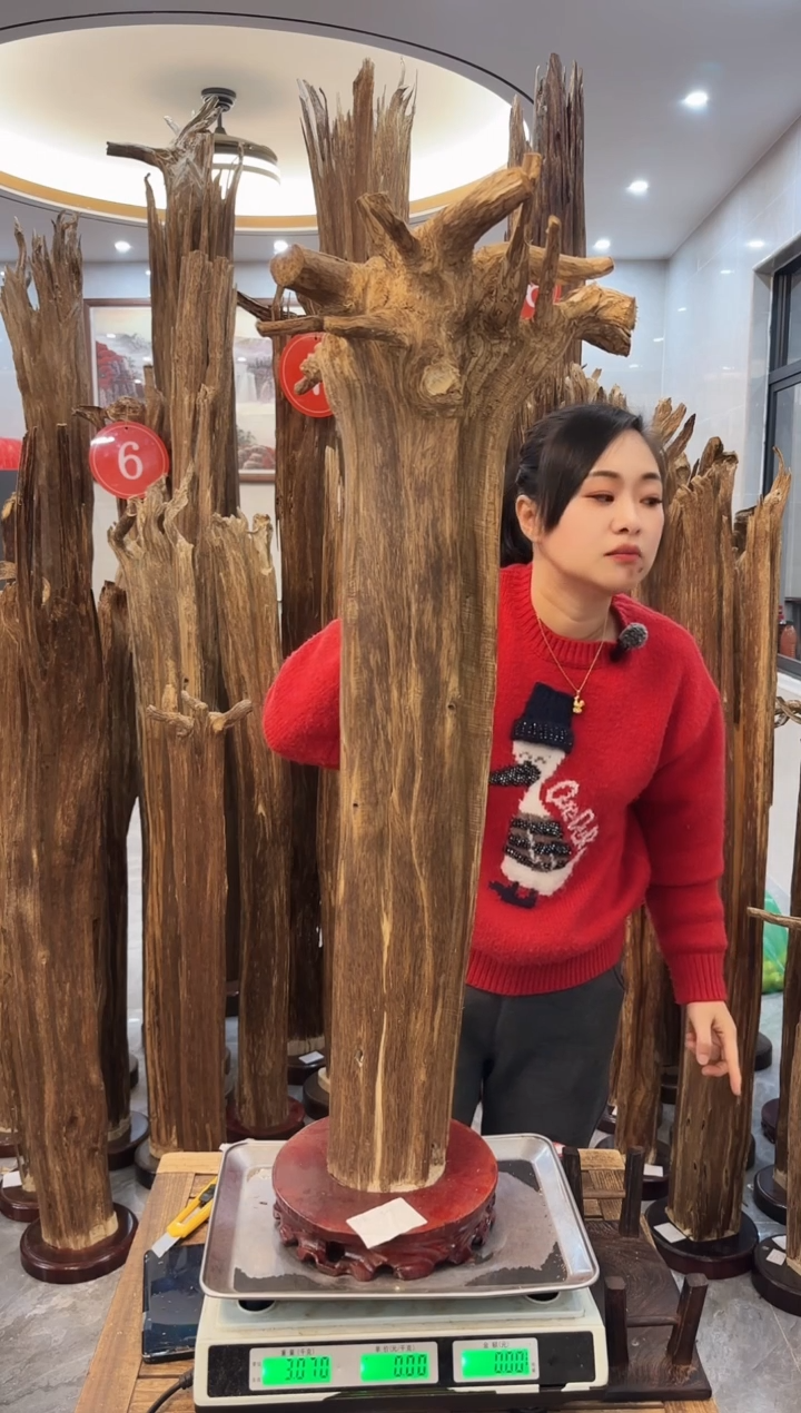 【闪购商品】沉香摆件沉香摆件26