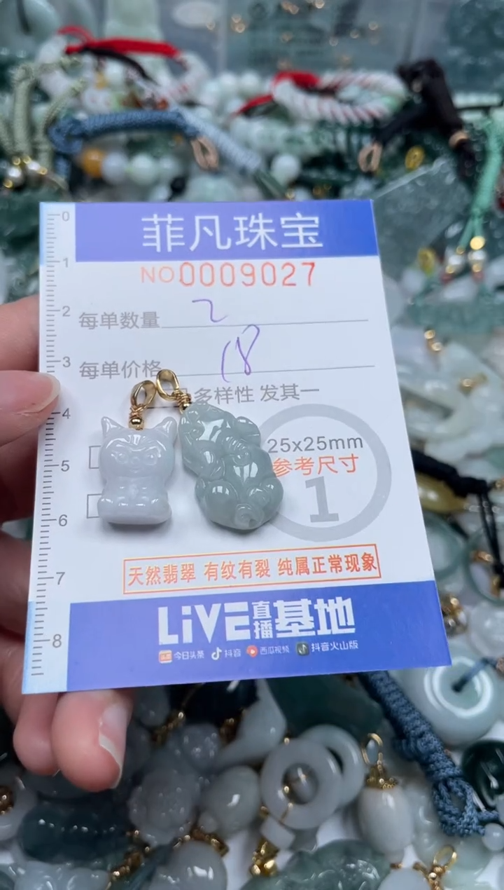 【闪购商品】翡翠颈饰未镶嵌00..9027