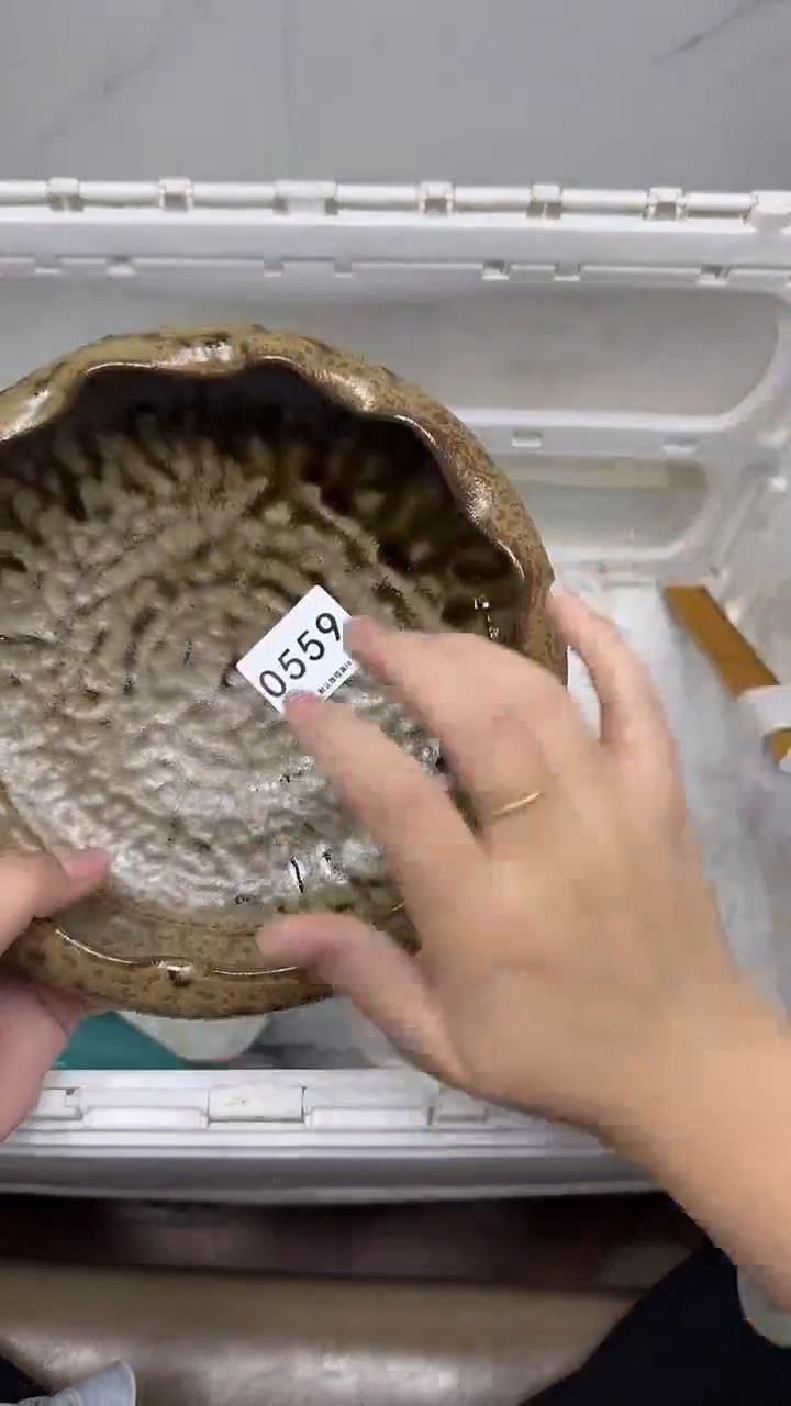 【闪购商品】559回流瓷器默认微瑕，18.8包邮