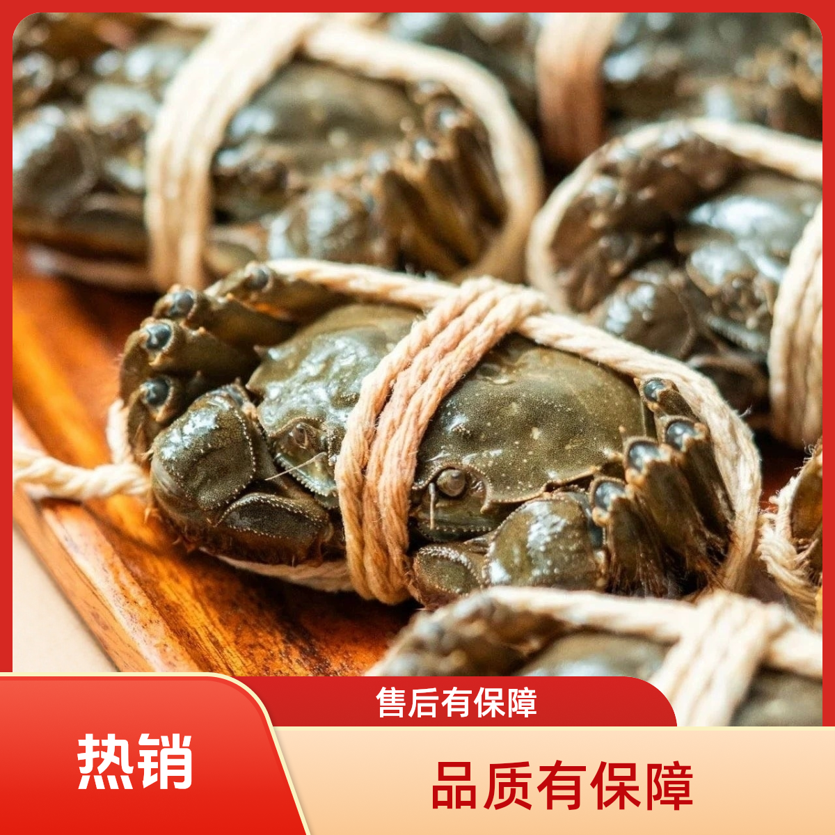 【活蟹】洪泽湖大闸蟹规格（3.1-2.8两）全母蟹8只装礼盒  京东到家