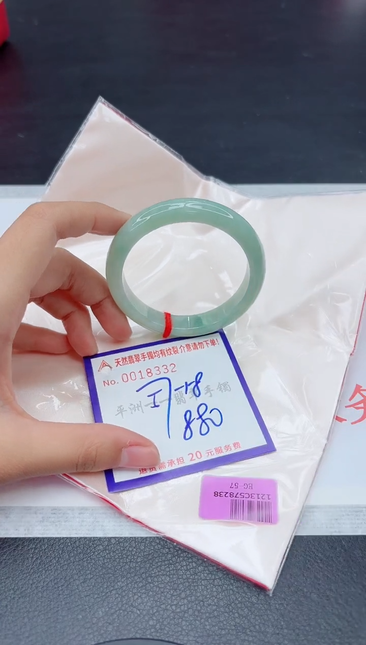 未镶嵌手镯翡翠111111