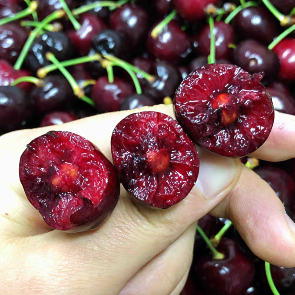 【陈灵岳甄选】锁匙扣3JD拉宾斯车厘子智利海运 净重5斤 内附果径卡