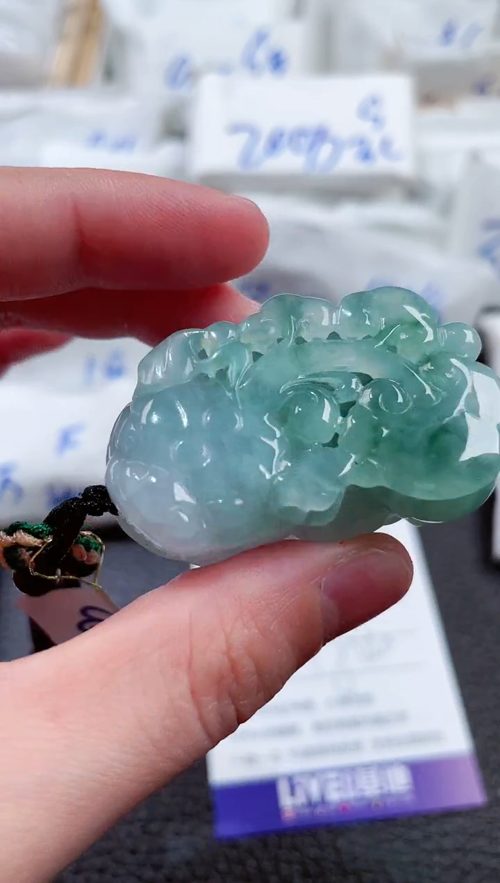 【闪购商品】翡翠颈饰未镶嵌00002517