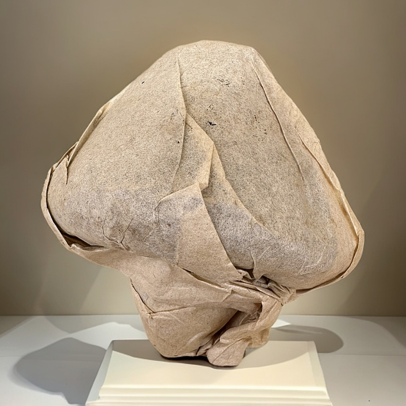 2006年精品蘑菇坨私人定制花果蜜韵回甘持久 普洱茶生茶250克