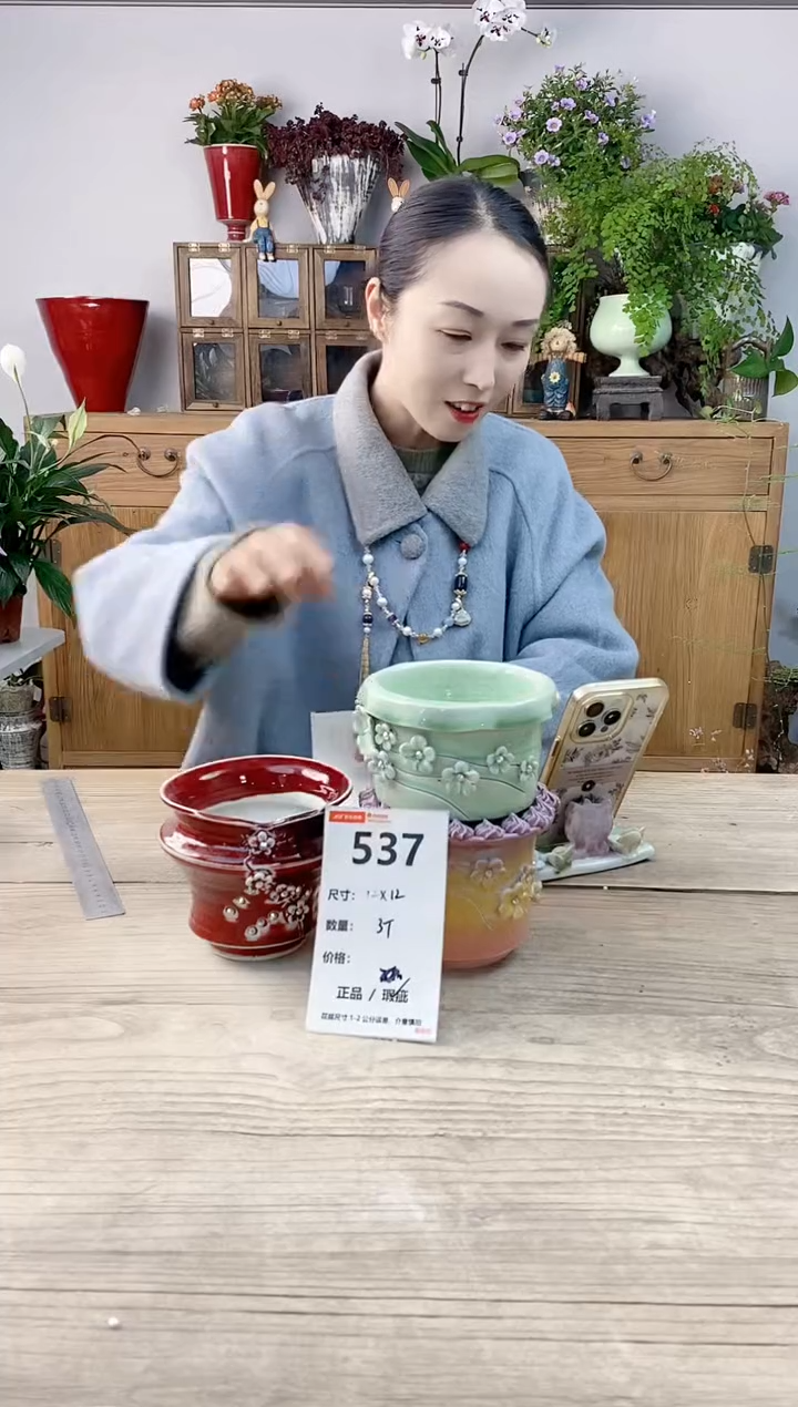 小玩子花盆直播编号537