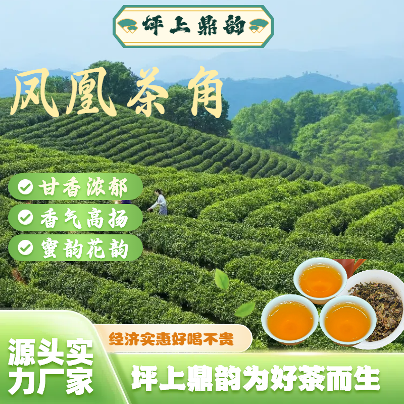 2025年 头春凤凰单丛茶角   山韵味足 香气馥郁 介意茶型慎拍 5