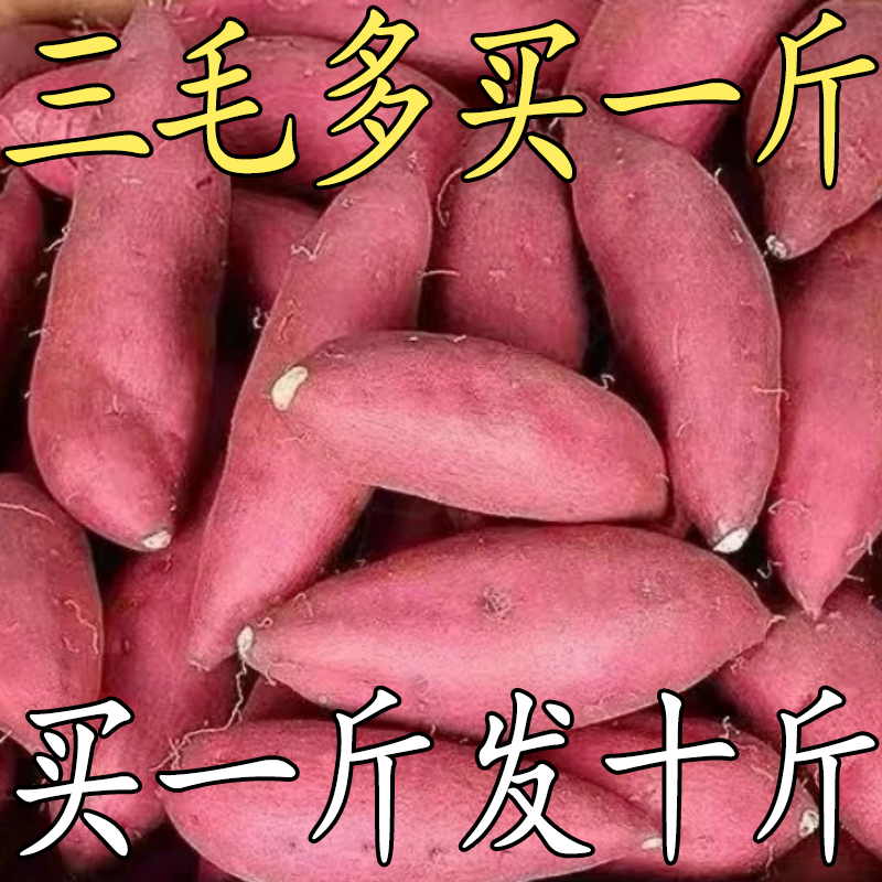 【2025新红薯】沙地蜜薯1-9斤黄心超甜红薯地瓜红苕龙九番薯蔬菜