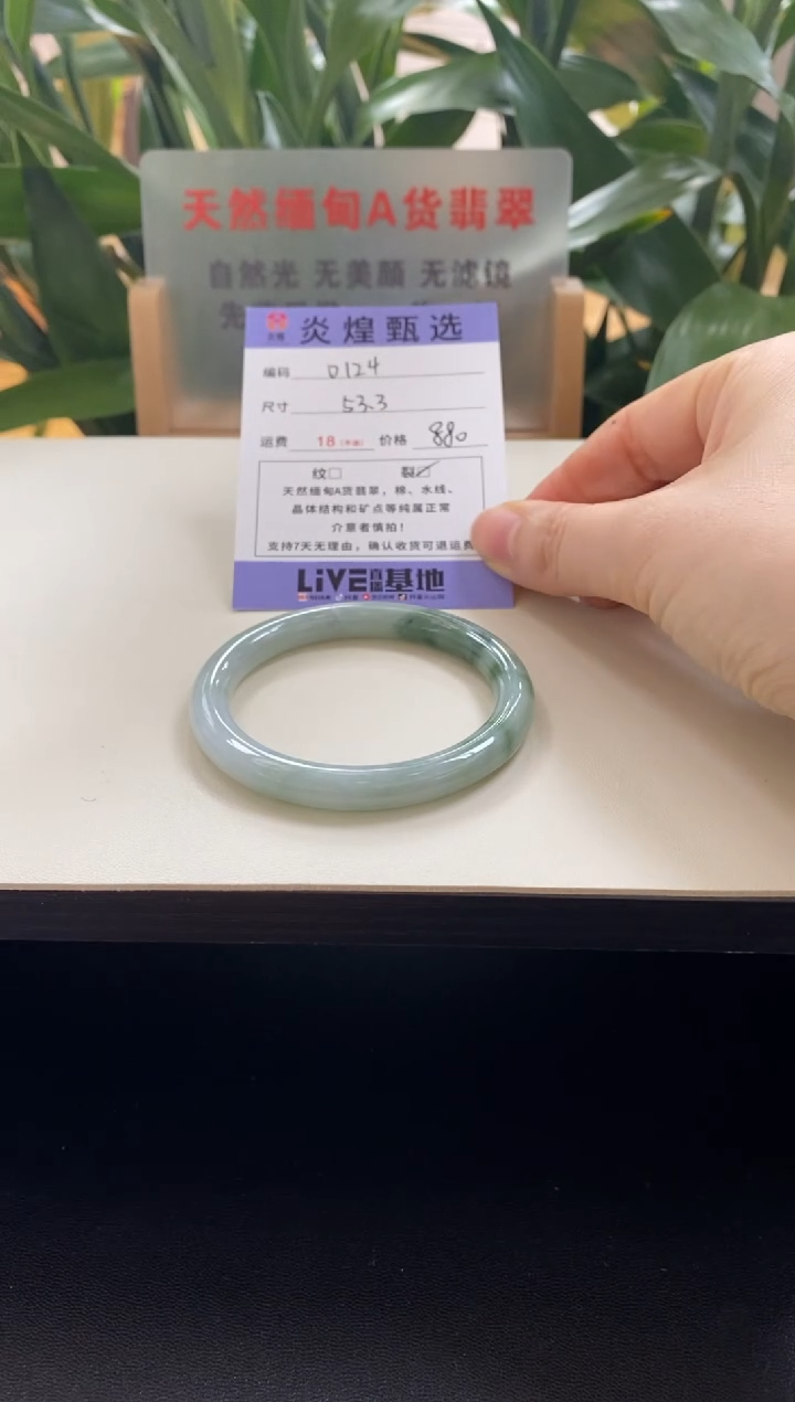 未镶嵌手镯翡翠圈口53.3编码d124
