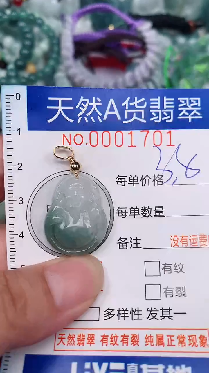 翡翠未镶嵌颈饰...0001701