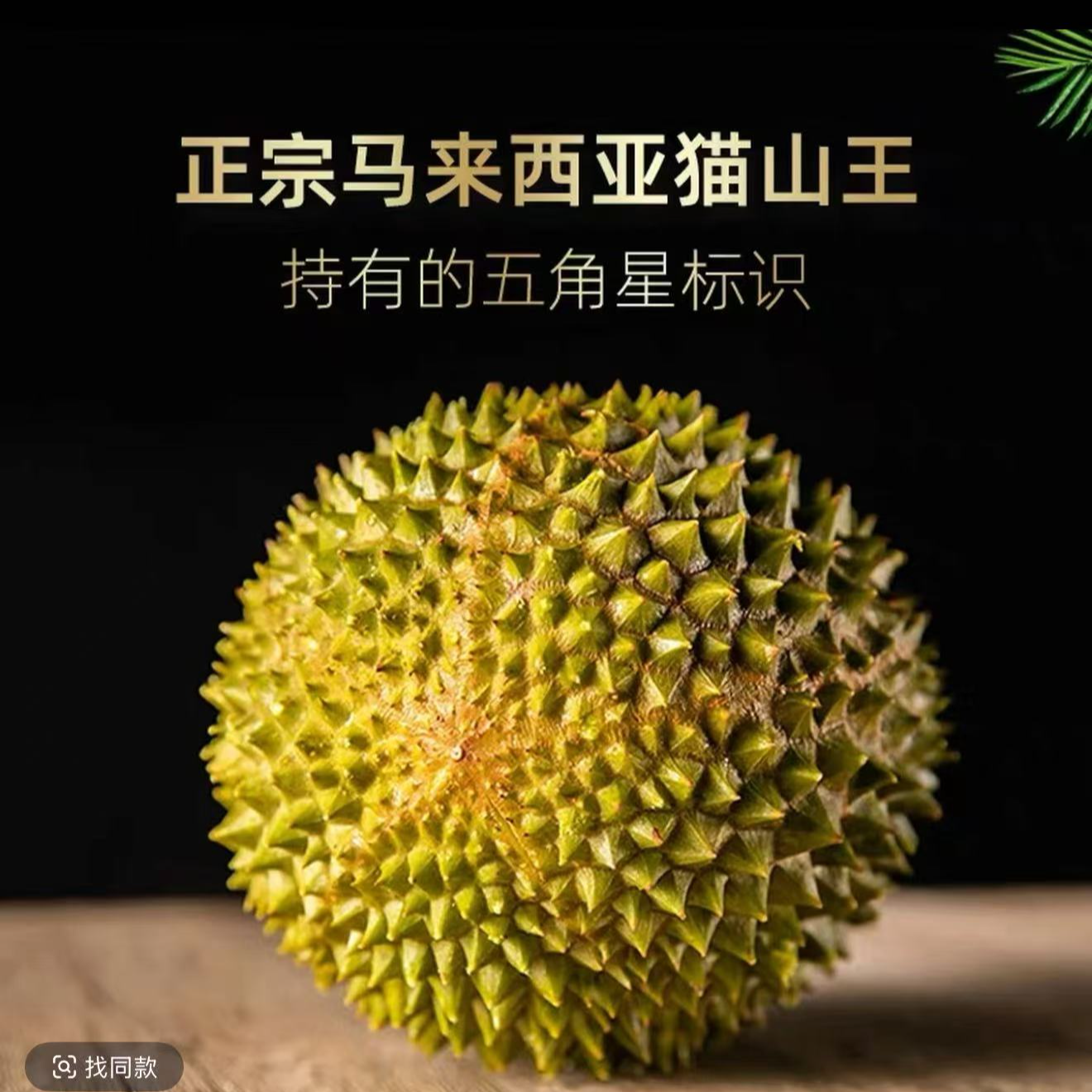 新鲜AA果核小马来西亚树熟猫山王D197-黑刺整果榴莲一果一重猫山王马来西亚