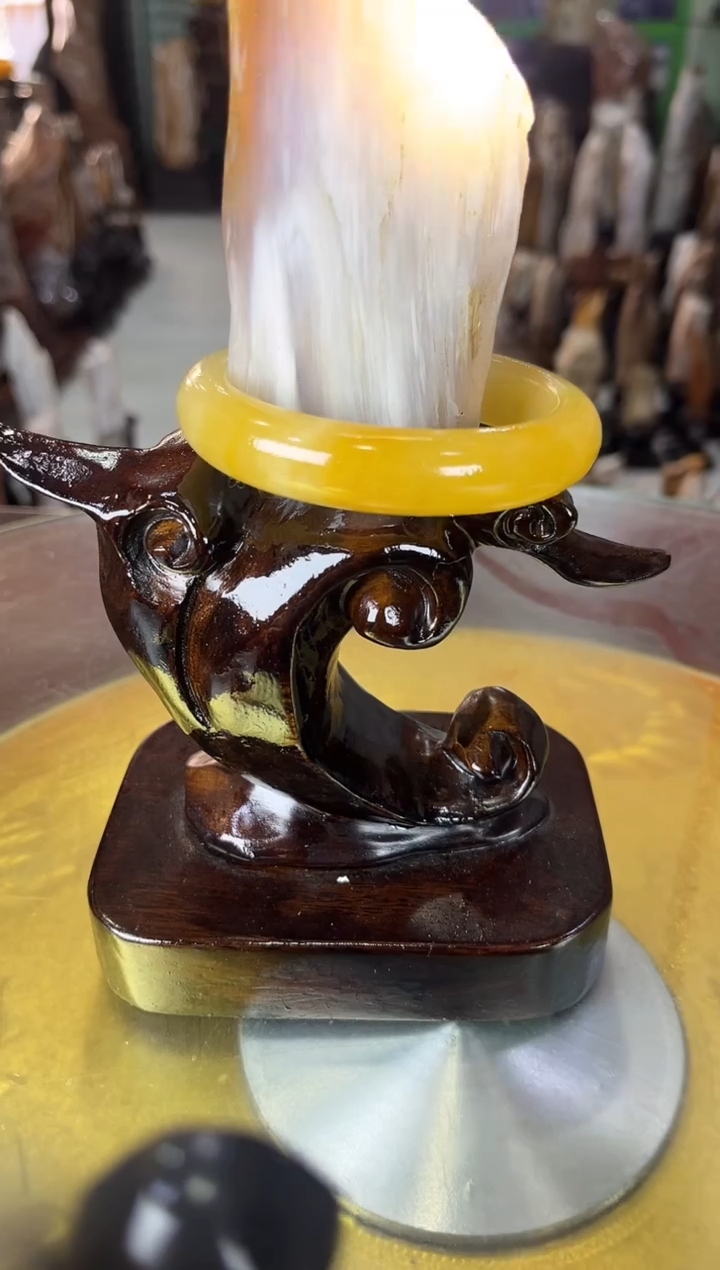 未镶嵌珠宝奇石硅化玉缅甸天然树化玉摆件