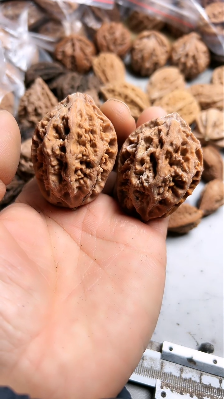 核桃东北野生大秋子3