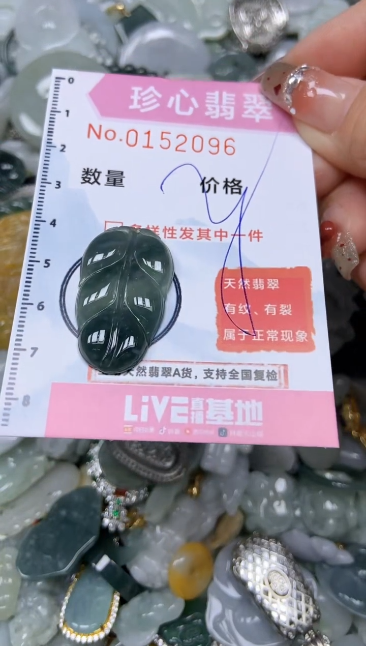 【闪购商品】翡翠颈饰未镶嵌闪购链接0152096