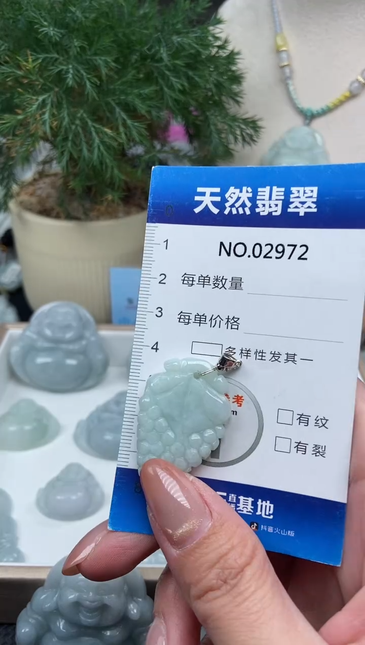 颈饰未镶嵌翡翠纯天然A货翡翠2972