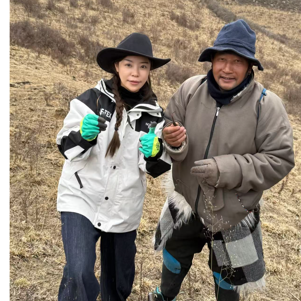  【阿妹YY】99藏干  高品质冬虫夏草 虫草2025头期精品干冬虫夏草