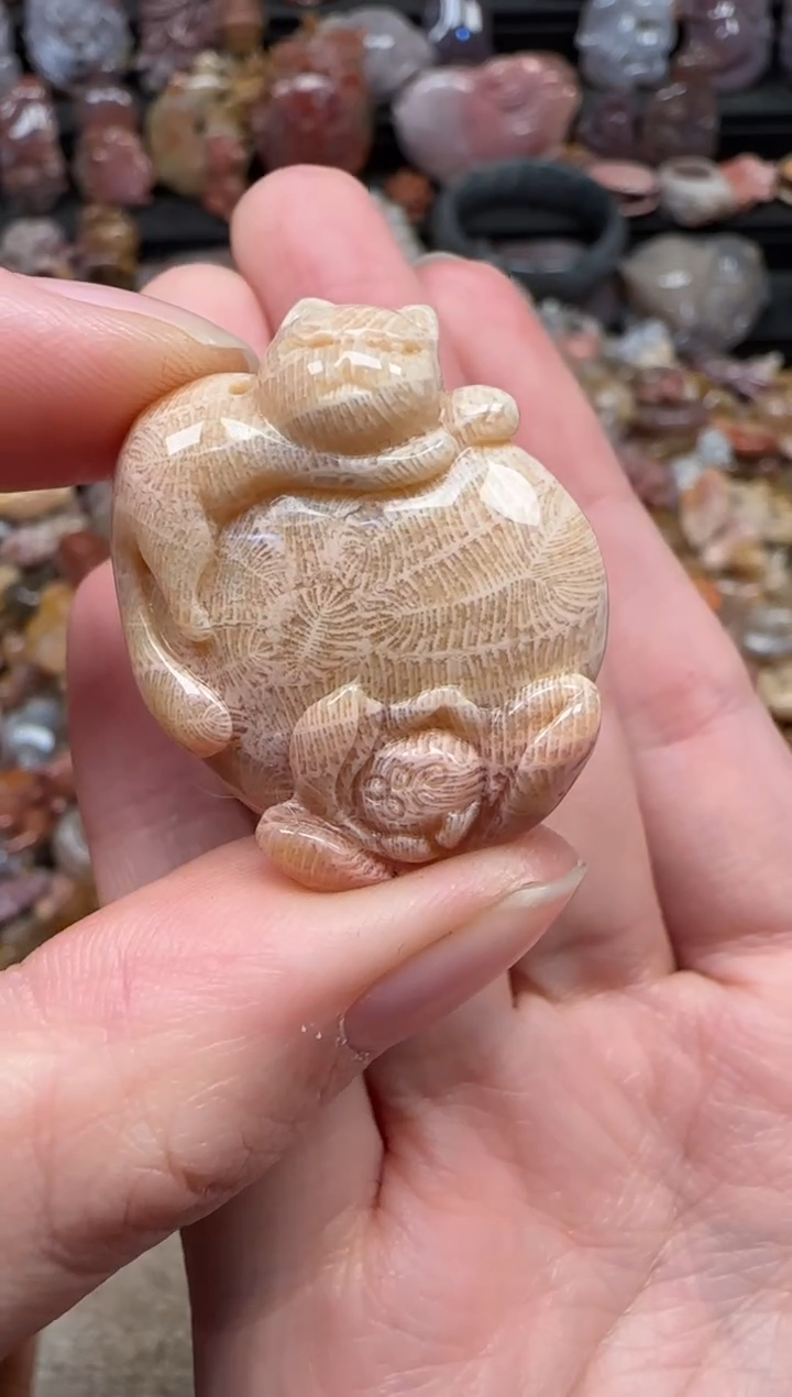 颈饰未镶嵌硅化珊瑚（珊瑚玉）441