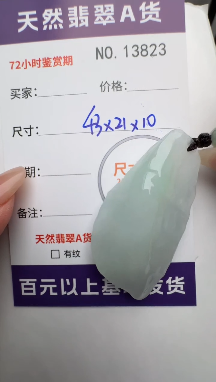 【闪购商品】翡翠颈饰未镶嵌原石13823