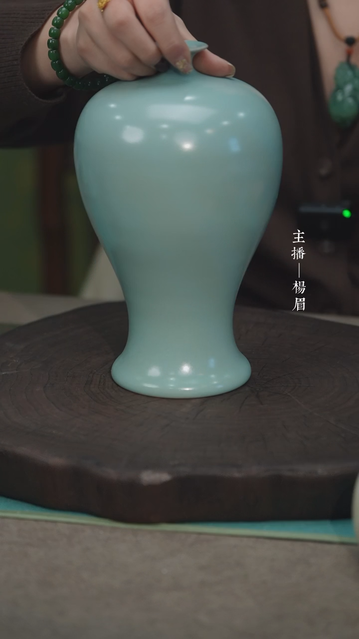 【闪购商品】梅瓶（不完美）——龙眉