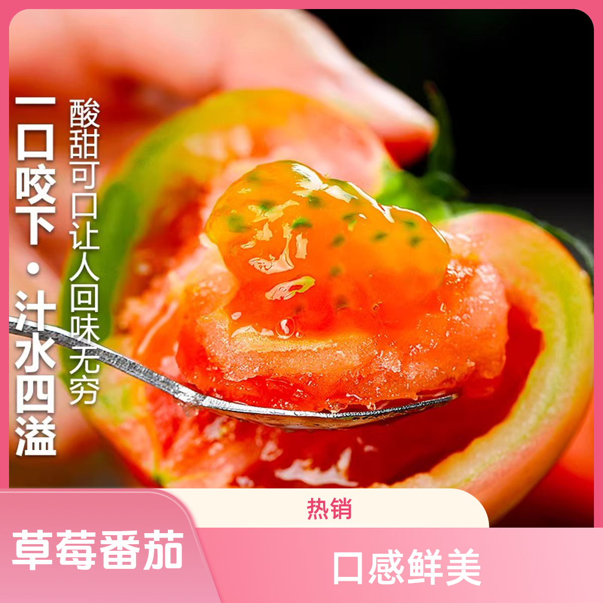 【京东包邮】2斤5斤铁皮柿子草莓番茄精品果西红柿产地5斤送货上门