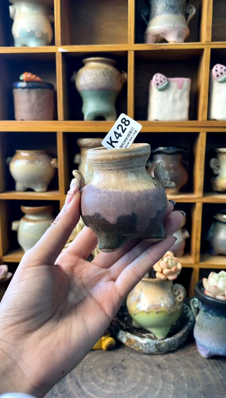 加**辣428【多肉花盆多肉盆】