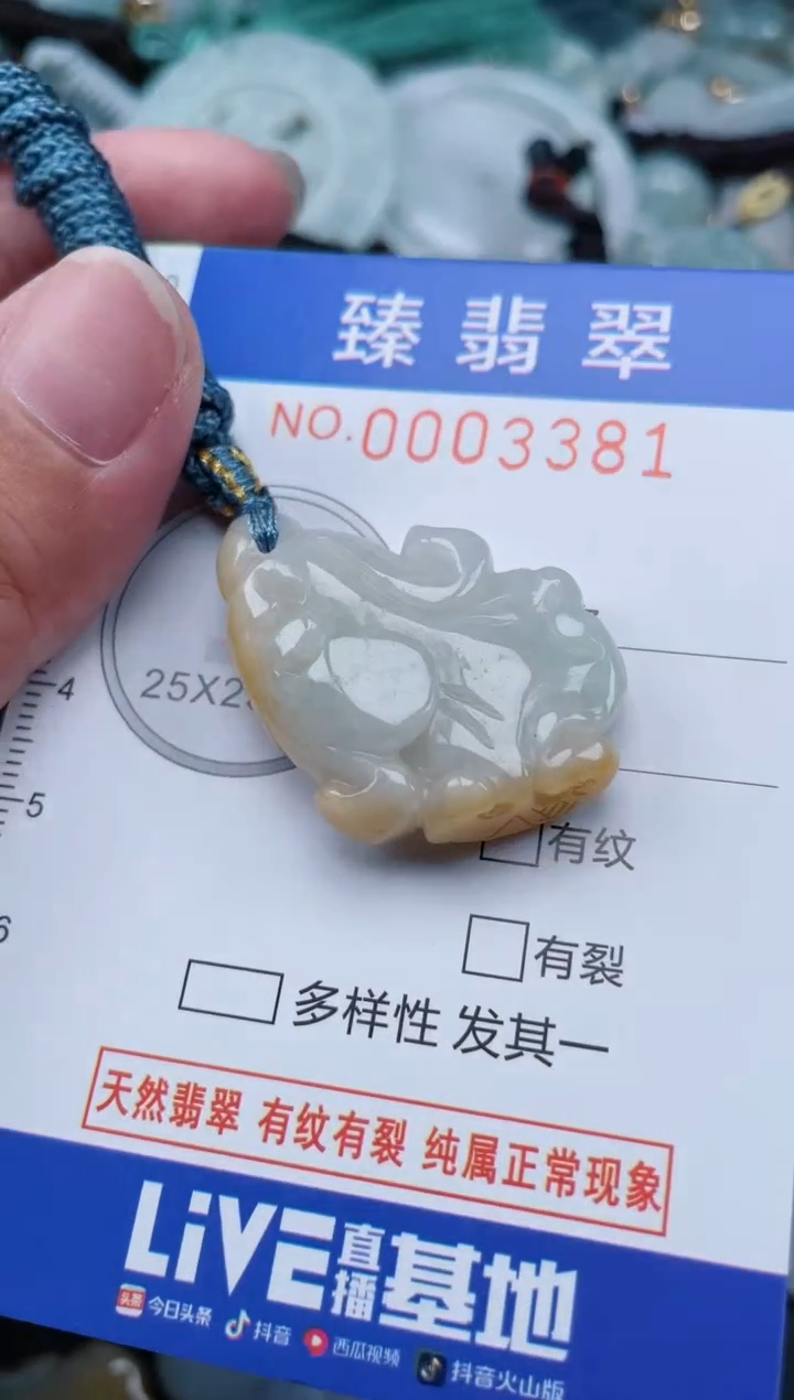 翡翠未镶嵌颈饰.0003381
