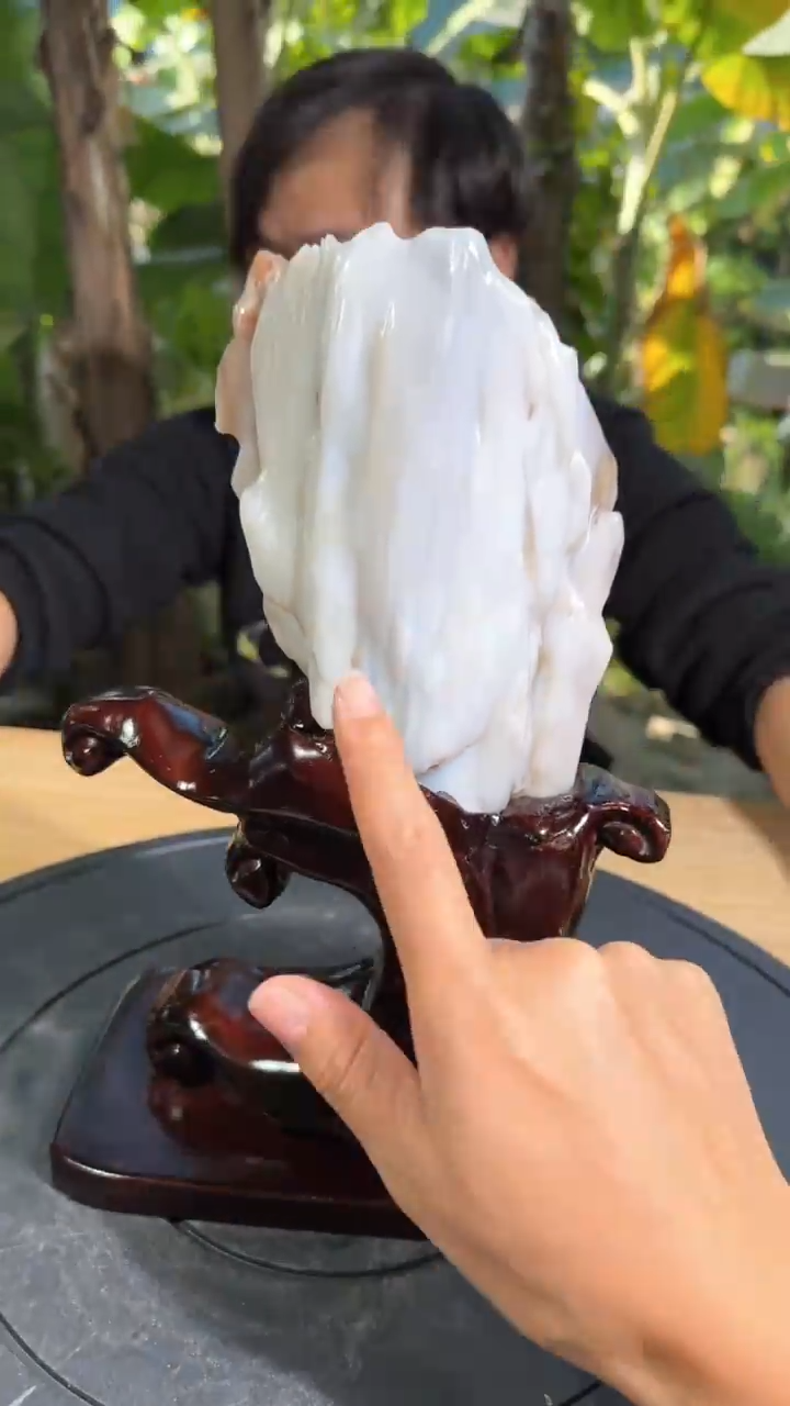 【闪购商品】硅化玉珠宝奇石未镶嵌拍一发一