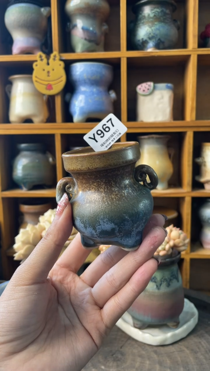 967内口5【多肉花盆多肉盆】