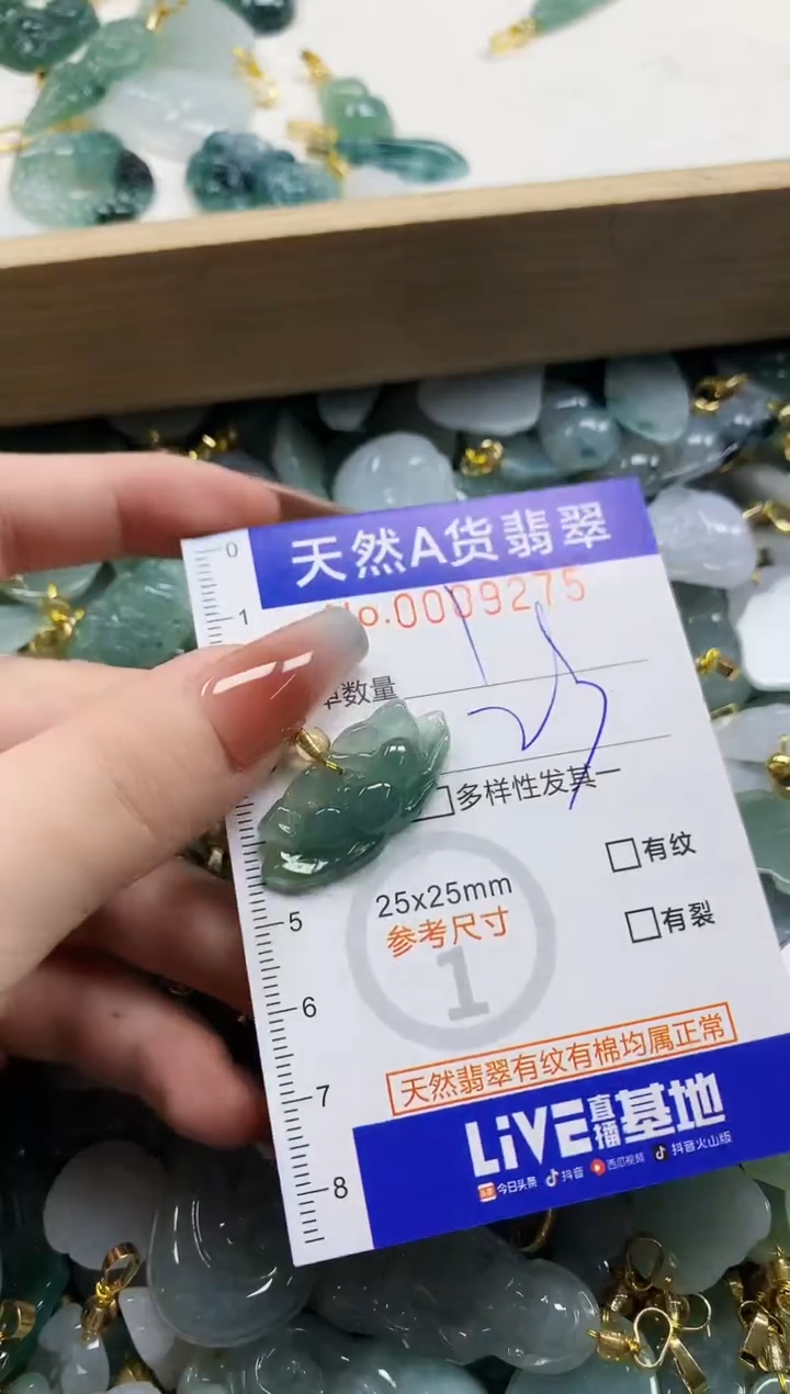 颈饰未镶嵌翡翠天然A货翡翠