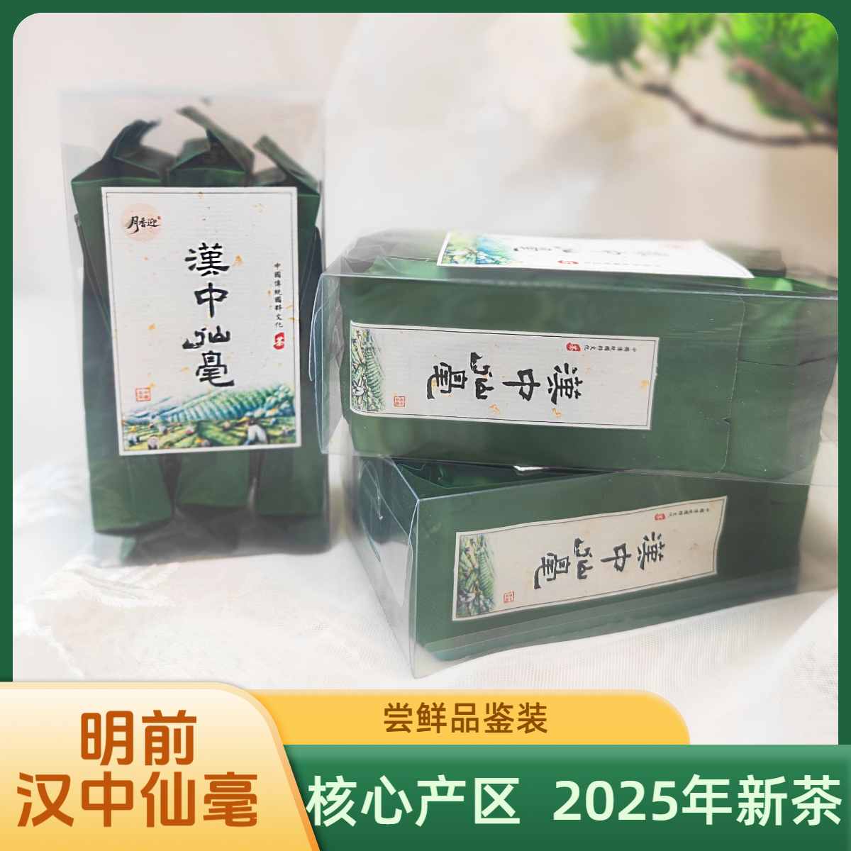 2025年头采明前汉中仙毫  尝鲜品鉴装 精选绿茶