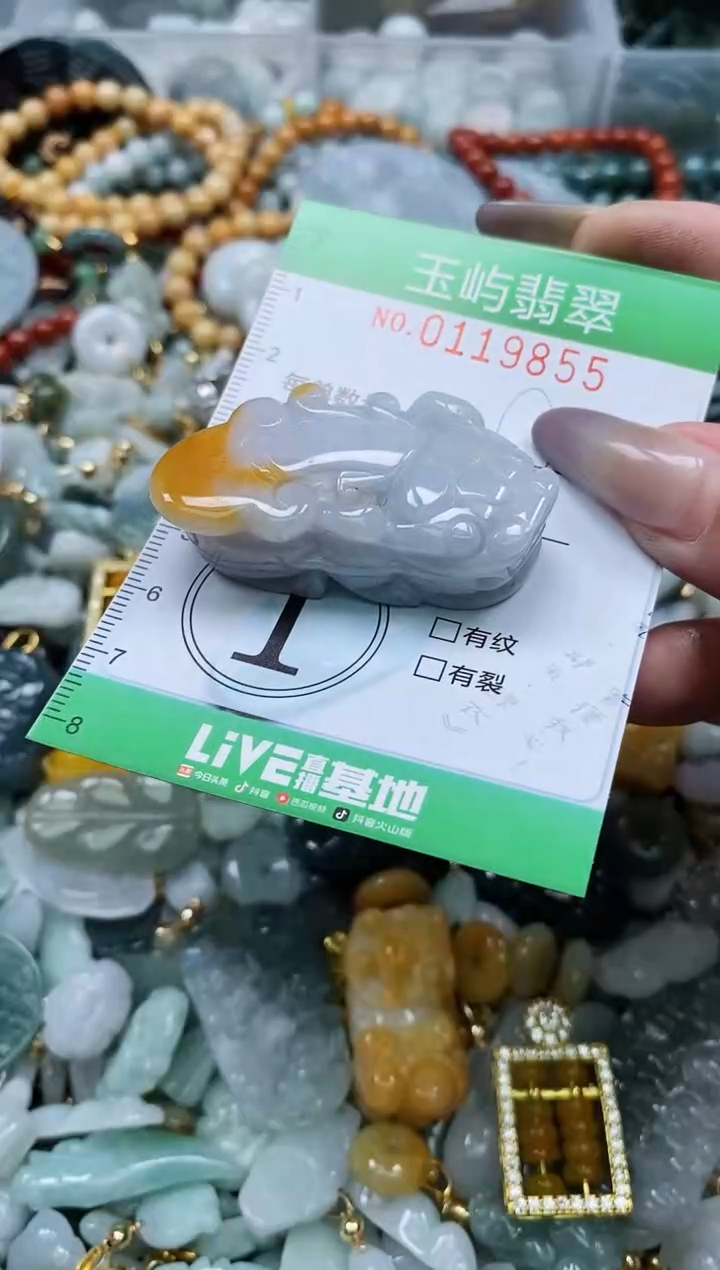 翡翠未镶嵌颈饰闪购0119855