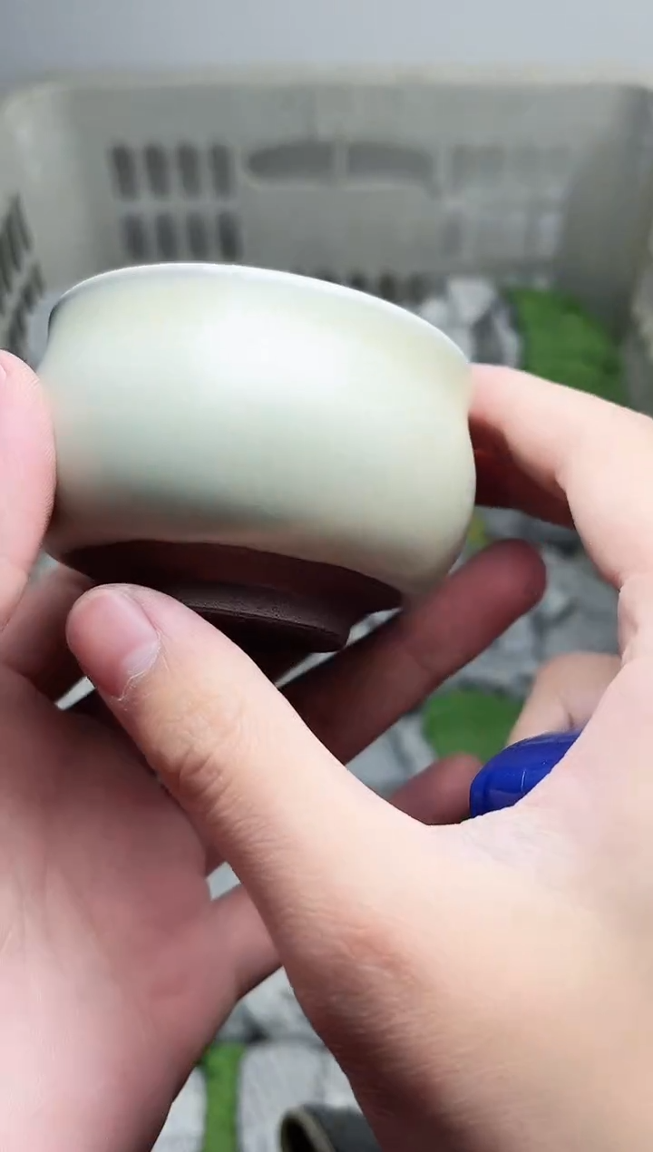 【闪购商品】茶盏白贝小佛肚高端茶器主人杯